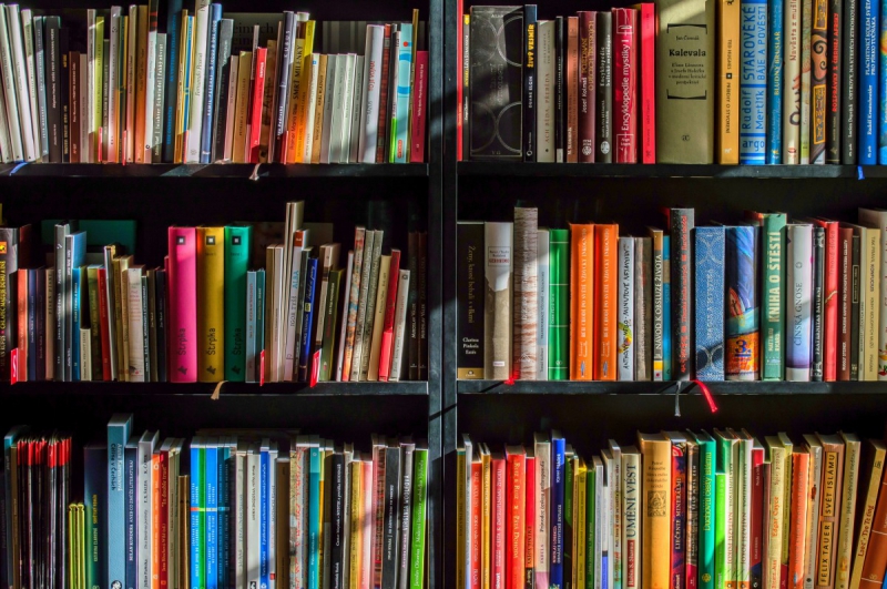vitrine-ST MARTIN D ENTRAUNES-min_books_bookstore_book_reading_shop_writer_sale_books_read-822866